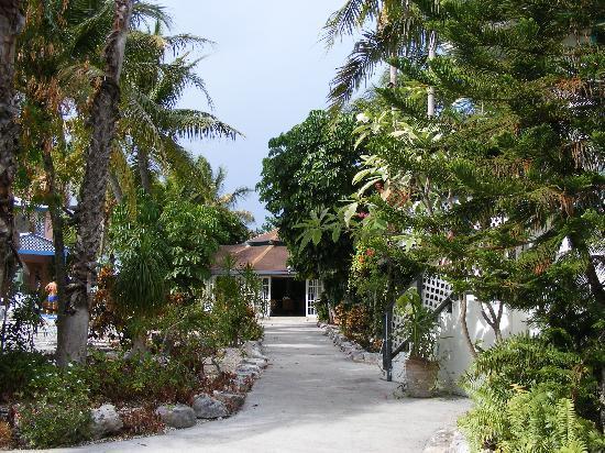 Turtle Cove Inn Екстериор снимка